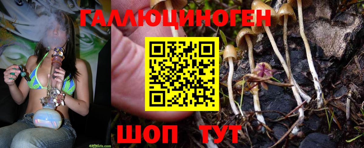 Галлюциногенные грибы GOLDEN TEACHER  Вход с VPN  Кропоткин 